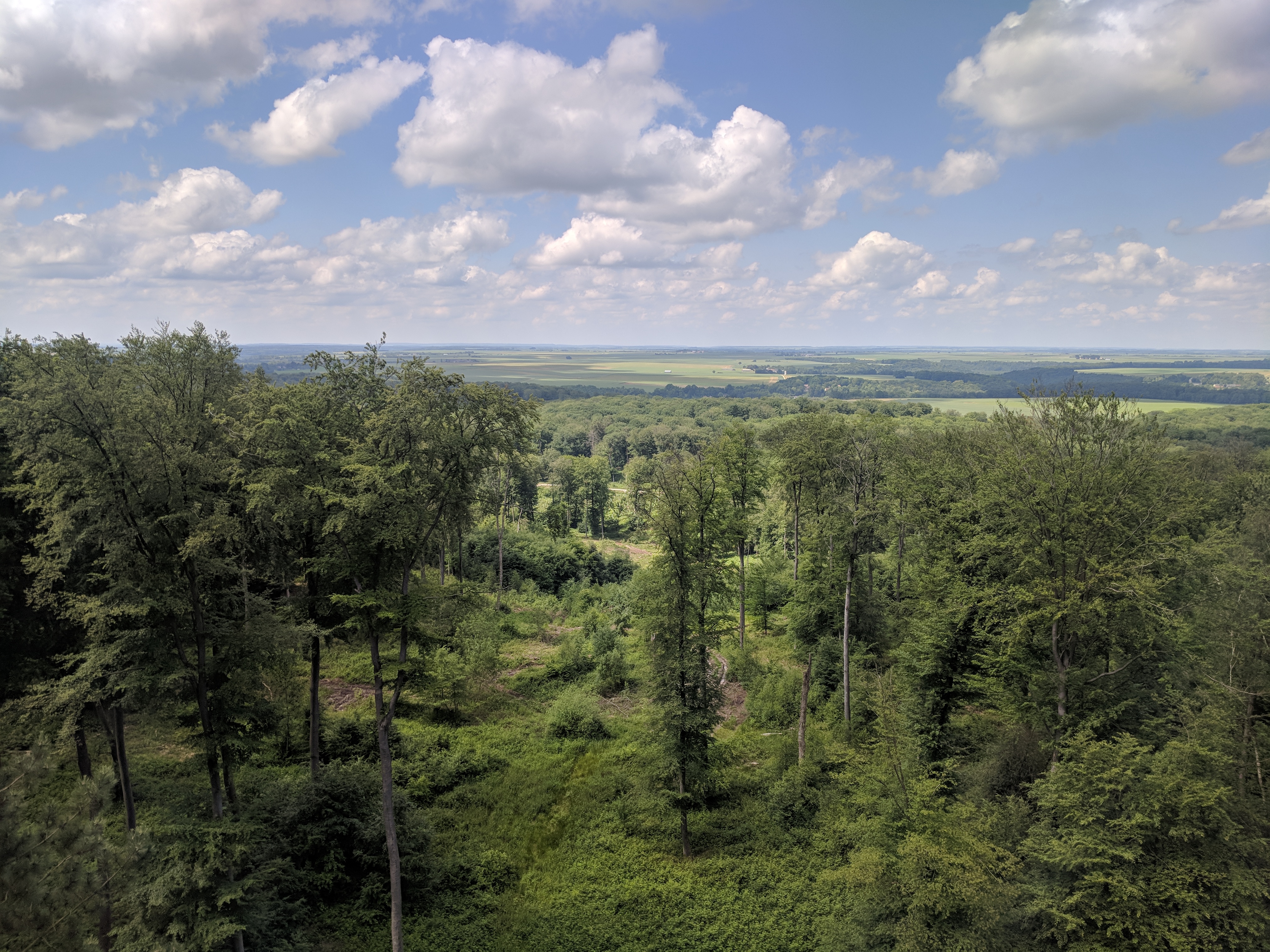 Photo n° 1 de l'avis de Matthew.o fait le 04/06/2018 à 20:52