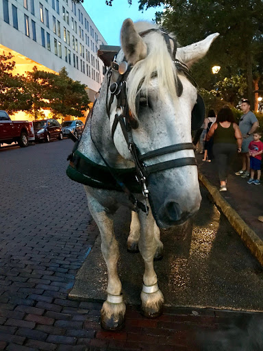 Horseback riding service Savannah
