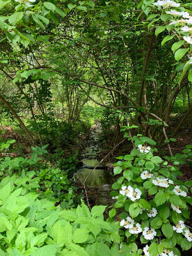 Nature Preserve «Tregaron Conservancy», reviews and photos, 3100 Macomb St NW, Washington, DC 20008, USA