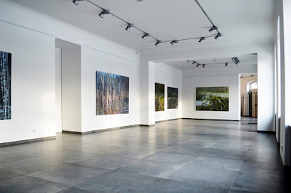Daugava, mākslas galerija