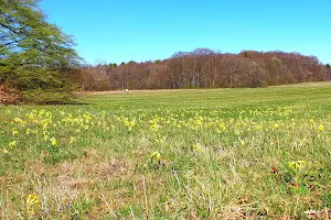 Hochwiesen-Pfullinger Berg image