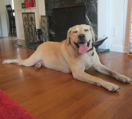 Law Firm «Hancock Law Firm, PLLC», reviews and photos