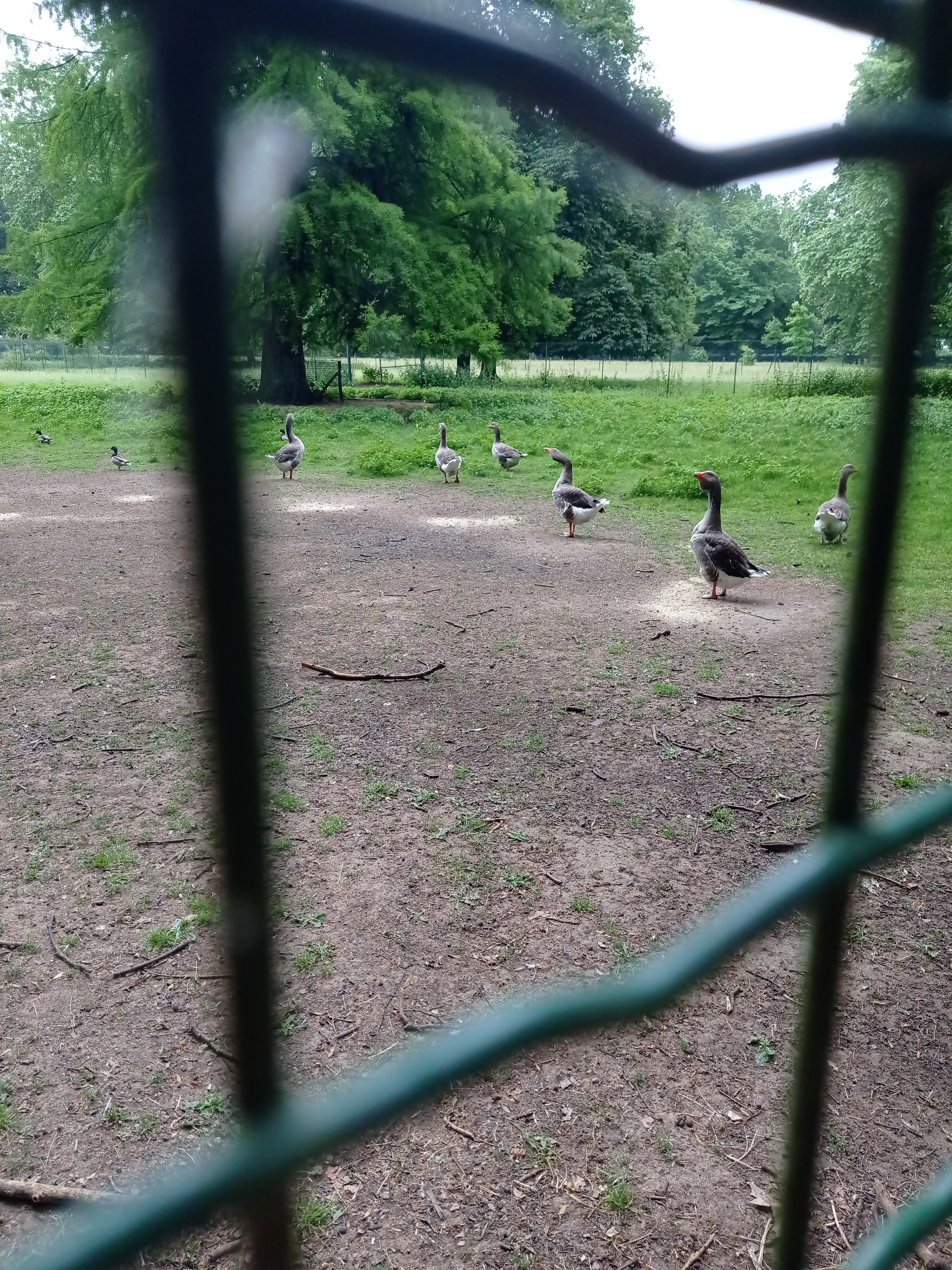 Photo n° 6 de l'avis de Quentin.e fait le 24/05/2022 à 11:35