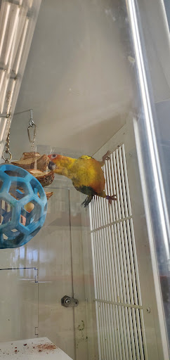 Pet Supply Store «Petco Animal Supplies», reviews and photos, 3480 Wilkes Barre Blvd, Wilkes-Barre, PA 18702, USA