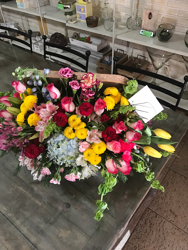 La Casa de Las Flores – Pachuca