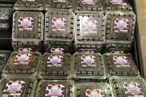 Grocery Store «Food Lion», reviews and photos, 70 Morgan Square #1, Berkeley Springs, WV 25411, USA