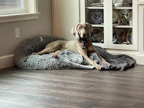 JStoutco. Dog Training - Photo 6 - Car repair in Elk Grove, CA, Sacramento