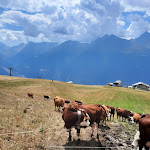 Photo n° 2 de l'avis de laurent.r fait le 06/08/2022 à 18:16 pour Aussois à Aussois