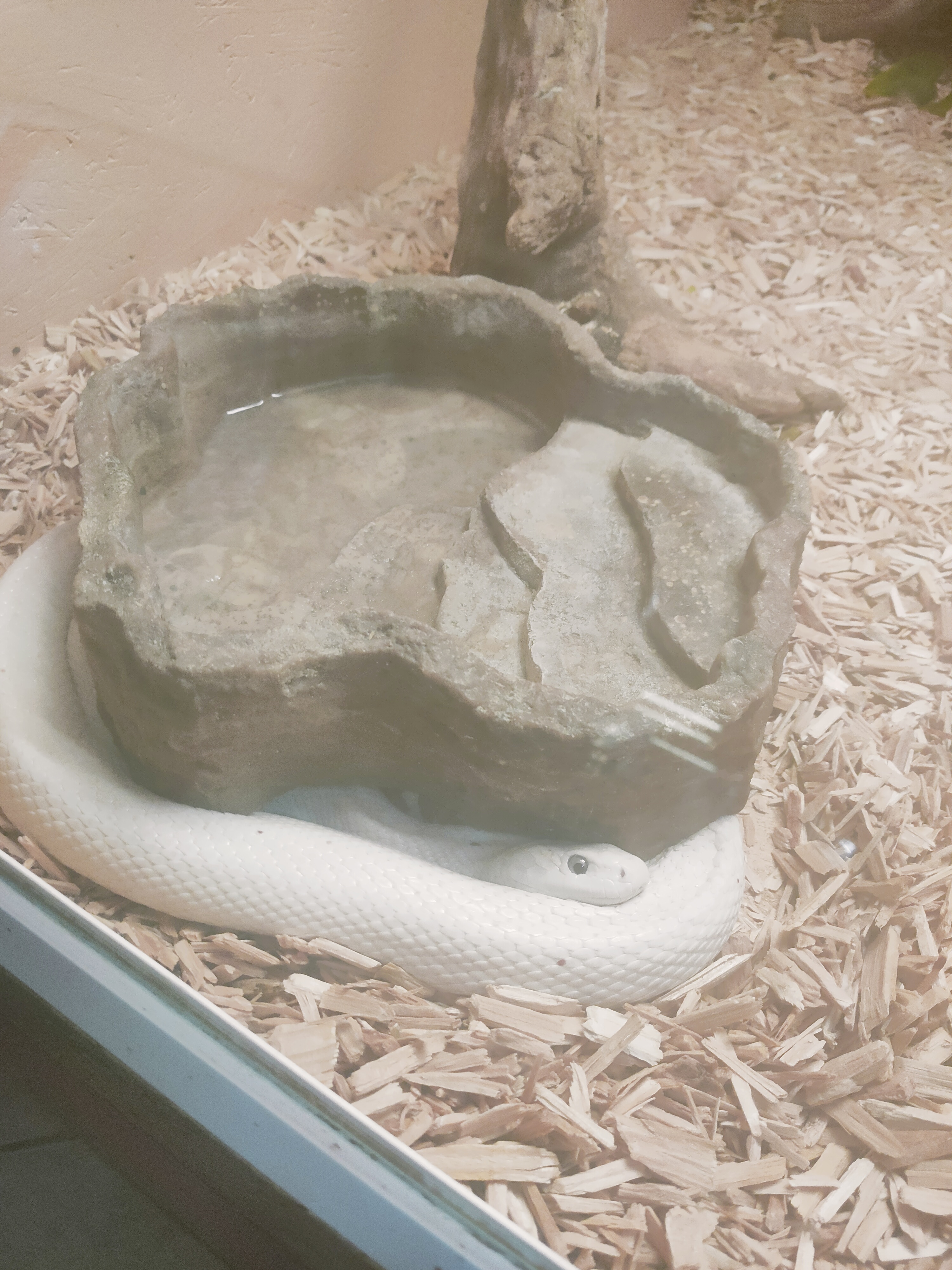 Photo n° 11 de l'avis de Karen.u fait le 03/01/2023 à 14:08