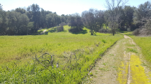 Sierra College image