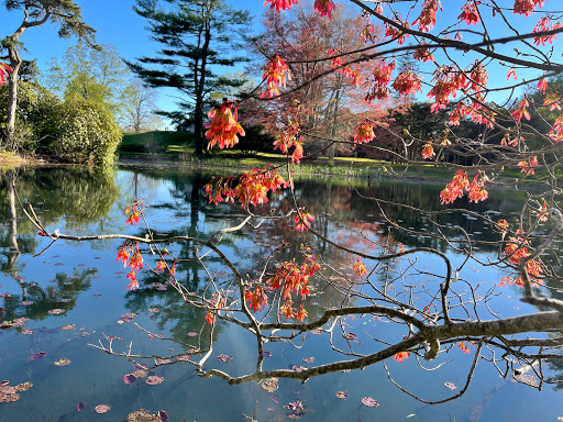Tourist Attraction «Governor Ames Estate», reviews and photos, 35 Oliver St, North Easton, MA 02356, USA