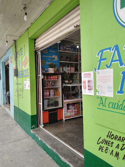 Farmacia Diego Calle Morelia 18, Tlatenco, 54770 Teoloyucan, Méx. Mexico