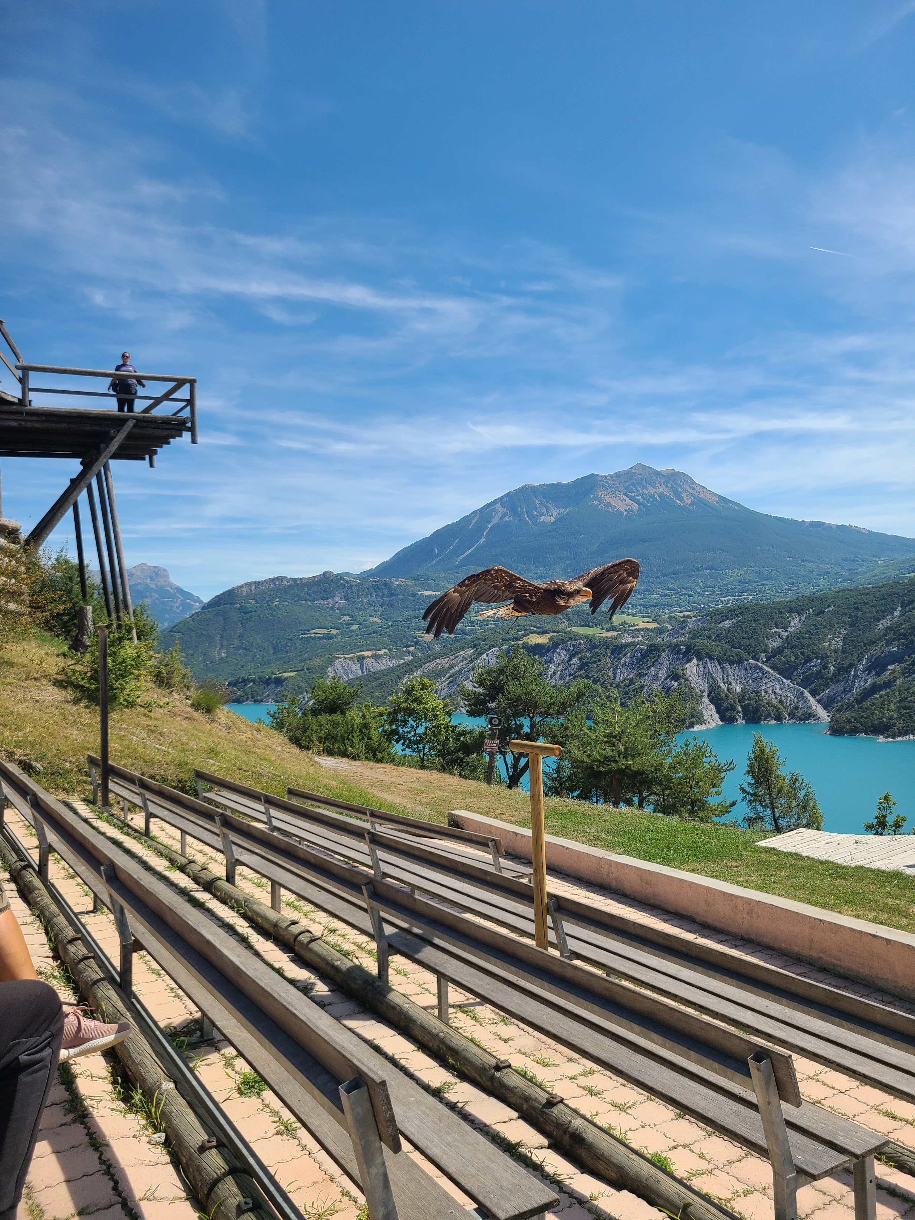 Photo n° 9 de l'avis de ju. fait le 09/09/2023 à 15:27