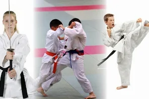 Family Self Defence image