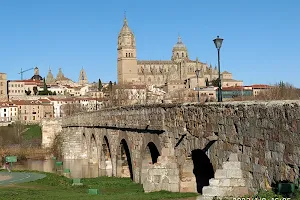 Roman bridge of Salamanca image