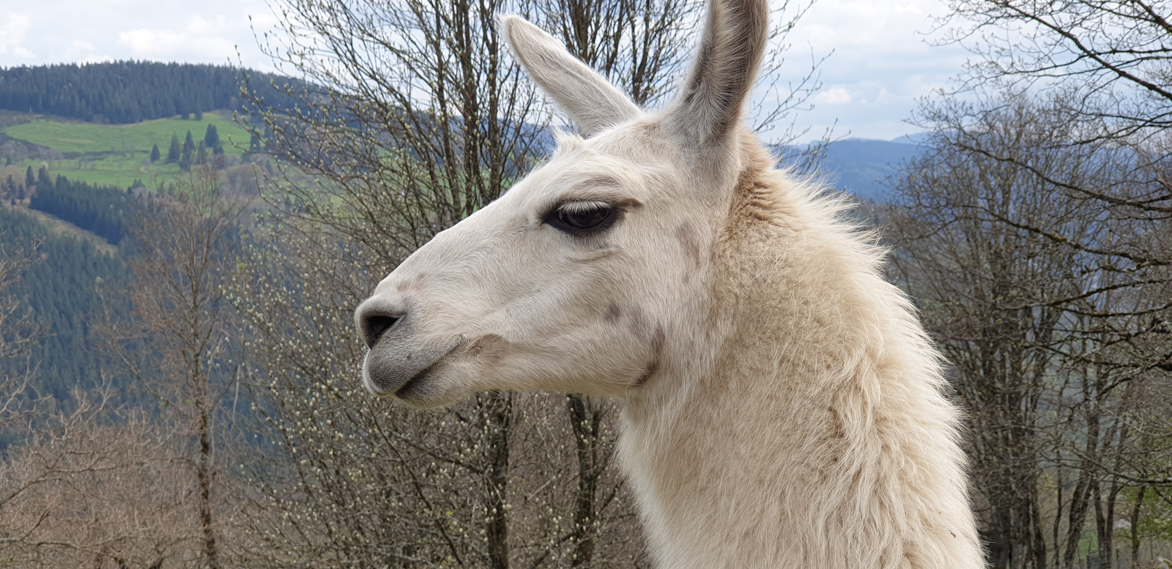 Photo n° 1 de l'avis de Cacolou.p fait le 01/05/2023 à 17:41