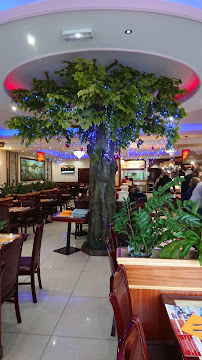 Atmosphère du Restaurant chinois Délices d'Asie à Villeneuve-d'Ascq - n°19
