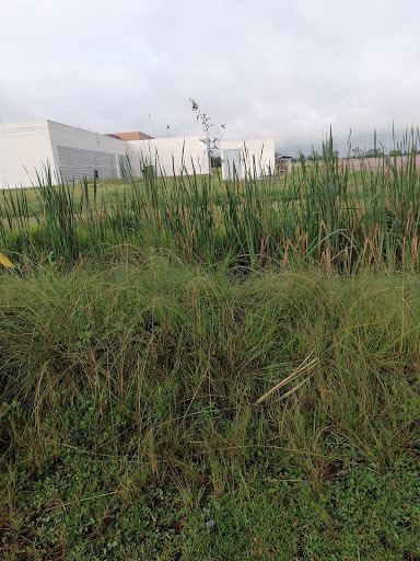 Facultad de Ciencias Agrícolas | UAEMéx