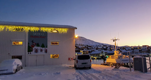 Artico Christmas House