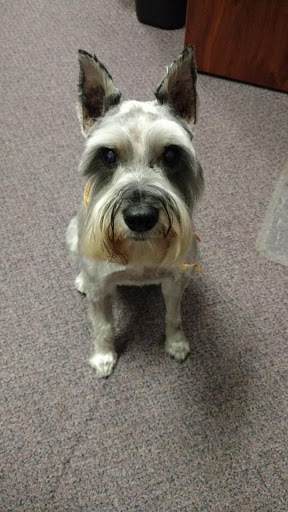 Employment Agency «Express Employment Professionals», reviews and photos, 7259 Fishers Landing Dr, Fishers, IN 46038, USA