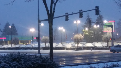 Used Car Dealer «Parkland Auto Center», reviews and photos, 12918 Pacific Ave S, Tacoma, WA 98444, USA