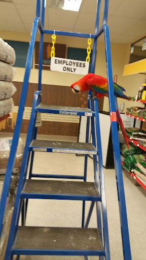 Pet Supply Store «PetSmart», reviews and photos, 33963 Doheny Park Rd, San Juan Capistrano, CA 92675, USA
