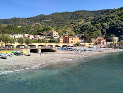 Photo de Tiburon beach avec #43