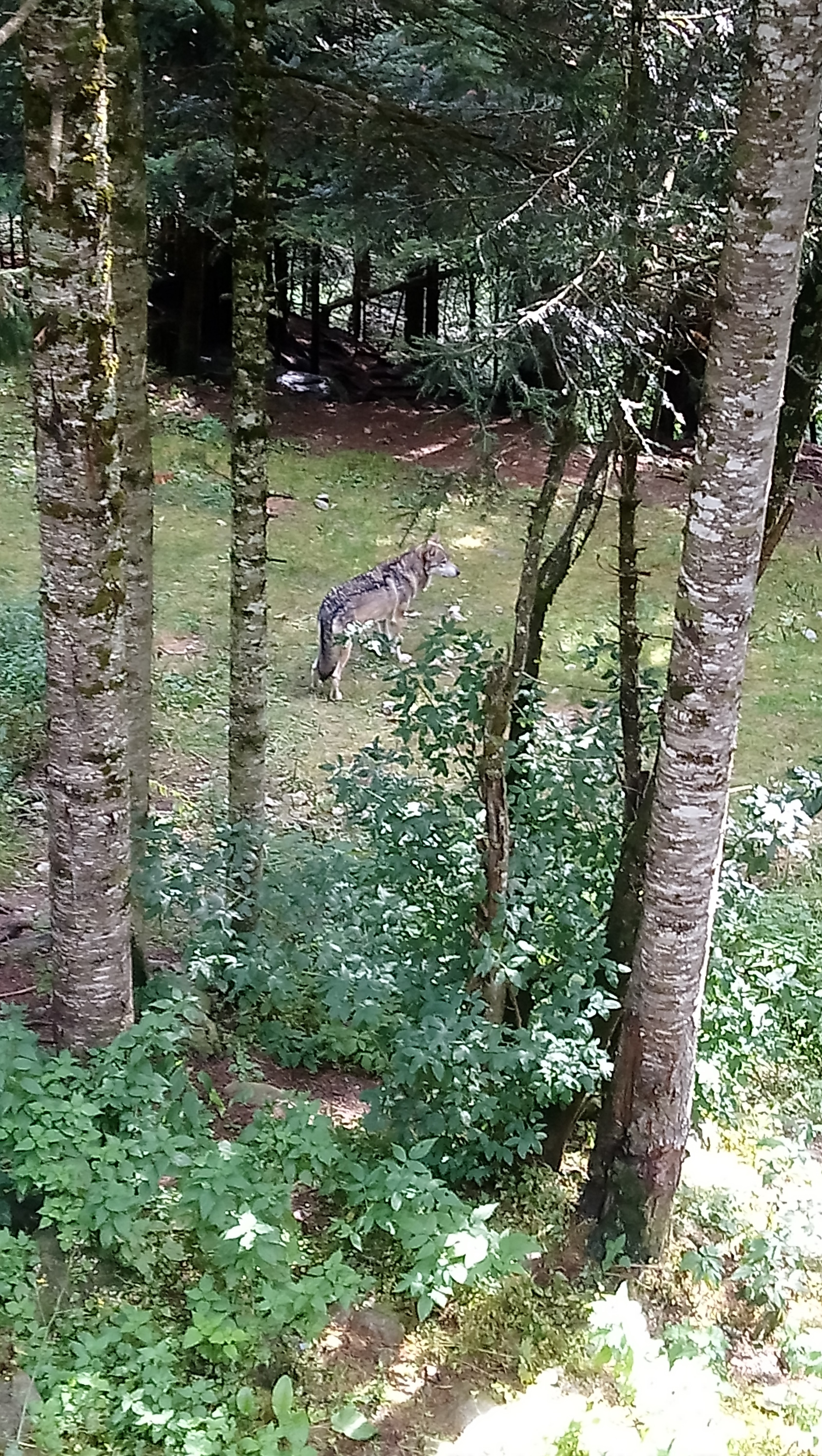 Photo n° 1 de l'avis de Valentine.a fait le 14/09/2019 à 16:11