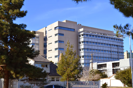 Randal R Leonard Law Firm : Randal R Leonard, 500 S 8th St, Las Vegas, NV 89101, Bankruptcy Attorney