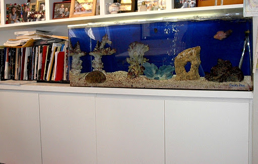 Pet Supply Store «Aquarius Aquariums», reviews and photos, 214 Riverside Dr #511, New York, NY 10025, USA
