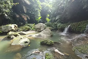 Mahogany Falls image