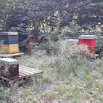 Photo n°11 de l'avis de Master.y fait le 25/09/2022 à 06:42 sur le  Schlemmin Castle à Schlemmin