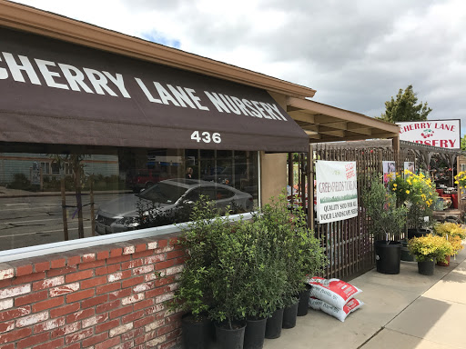 Florist «Cherry Lane Nursery», reviews and photos, 436 Traffic Way, Arroyo Grande, CA 93420, USA