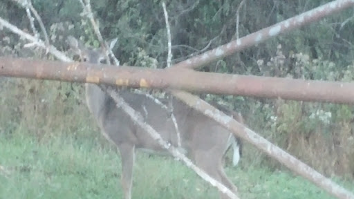 State Park «Taylorsville Lake State Park», reviews and photos, 1320 Park Rd, Mt Eden, KY 40046, USA