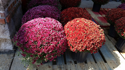 Grocery Store «Food Lion», reviews and photos, 425-A Wythe Creek Rd, Poquoson, VA 23662, USA