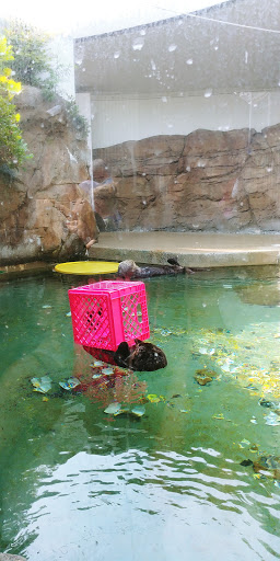 Gift Shop «Seattle Aquarium Gift Store», reviews and photos, 1483 Alaskan Way, Seattle, WA 98101, USA