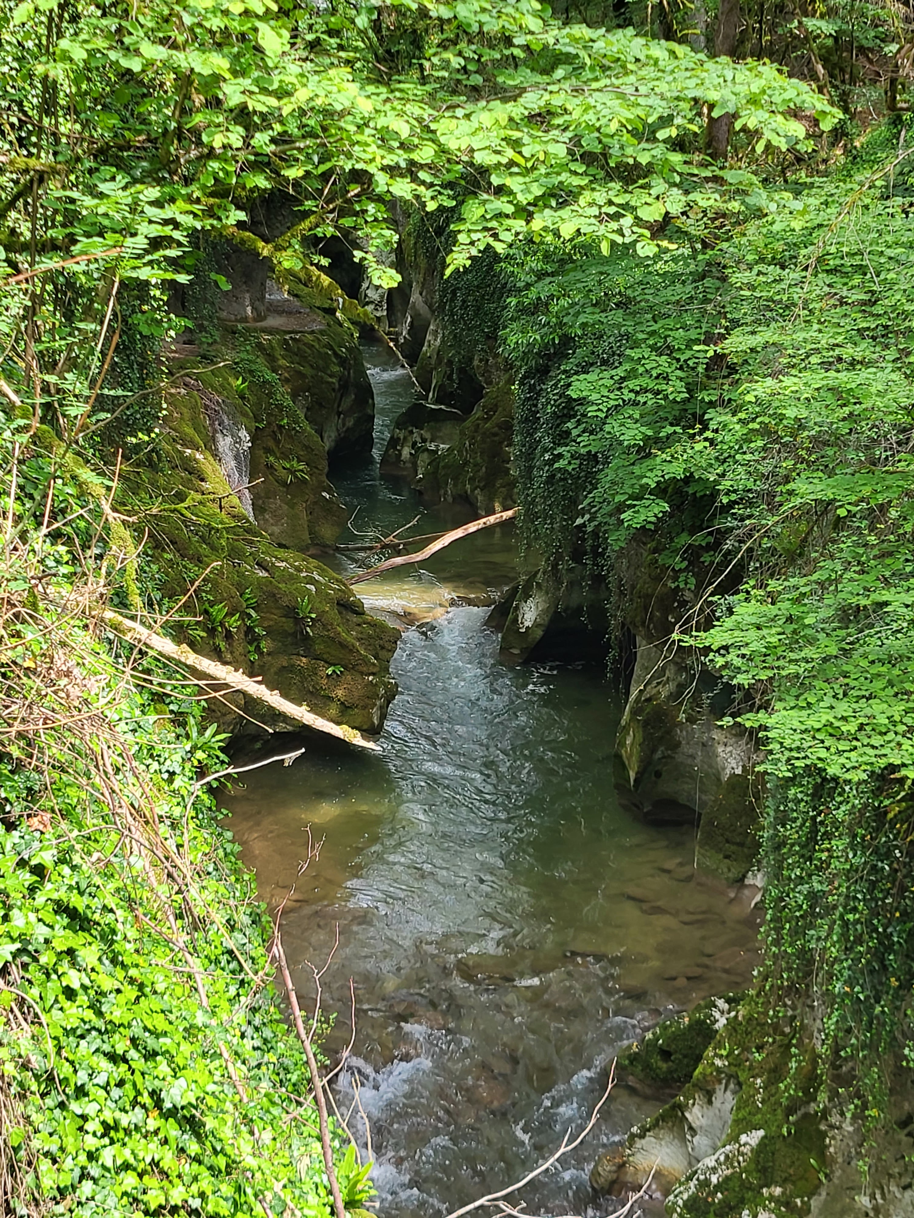Photo n° 1 de l'avis de Elzbieta.t fait le 23/05/2023 à 17:32