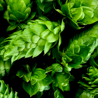 Ineffable Brewing Company in Burnsville, Minnesota - 4.60 star rating