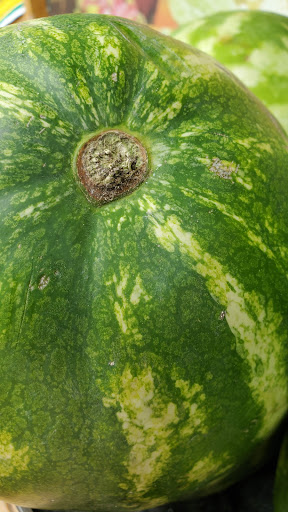 Supermarket «Met Fresh Supermarket», reviews and photos, 9606 3rd Ave, Brooklyn, NY 11209, USA