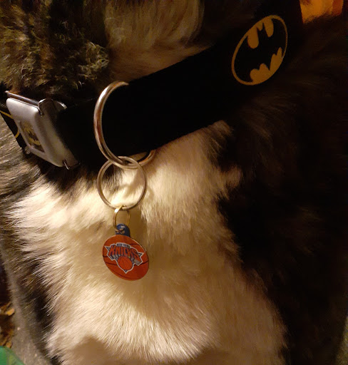 Pet Supply Store «Pet Supplies Plus», reviews and photos, 7954 Brewerton Rd #400, Cicero, NY 13039, USA