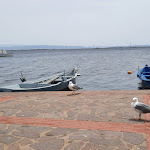 Photo n°3 de l'avis de Azerty.z fait le 24/06/2021 à 12:41 sur le  La Sulcitana Cooperativa Pescatori à Sant'Antioco