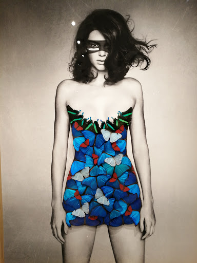 Art Gallery «Eden Fine Art», reviews and photos, 437 Madison Ave, New York, NY 10022, USA