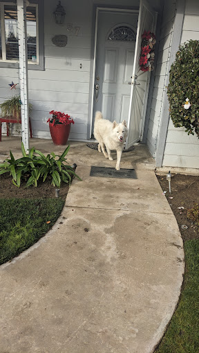 Sanger Animal Shelter