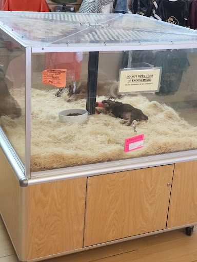 Pet Store «Perfect Pets», reviews and photos, 6840 S University Blvd #410, Centennial, CO 80122, USA