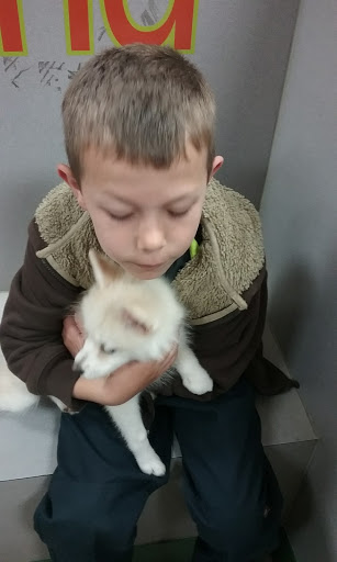 Pet Store «Petland», reviews and photos, 977 E State St, Athens, OH 45701, USA