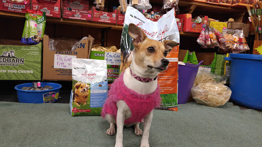 Pet Supply Store «Higbie Farm Supplies Inc», reviews and photos, 3440 Union St, North Chili, NY 14514, USA