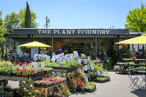 The Plant Foundry | Nursery & Store