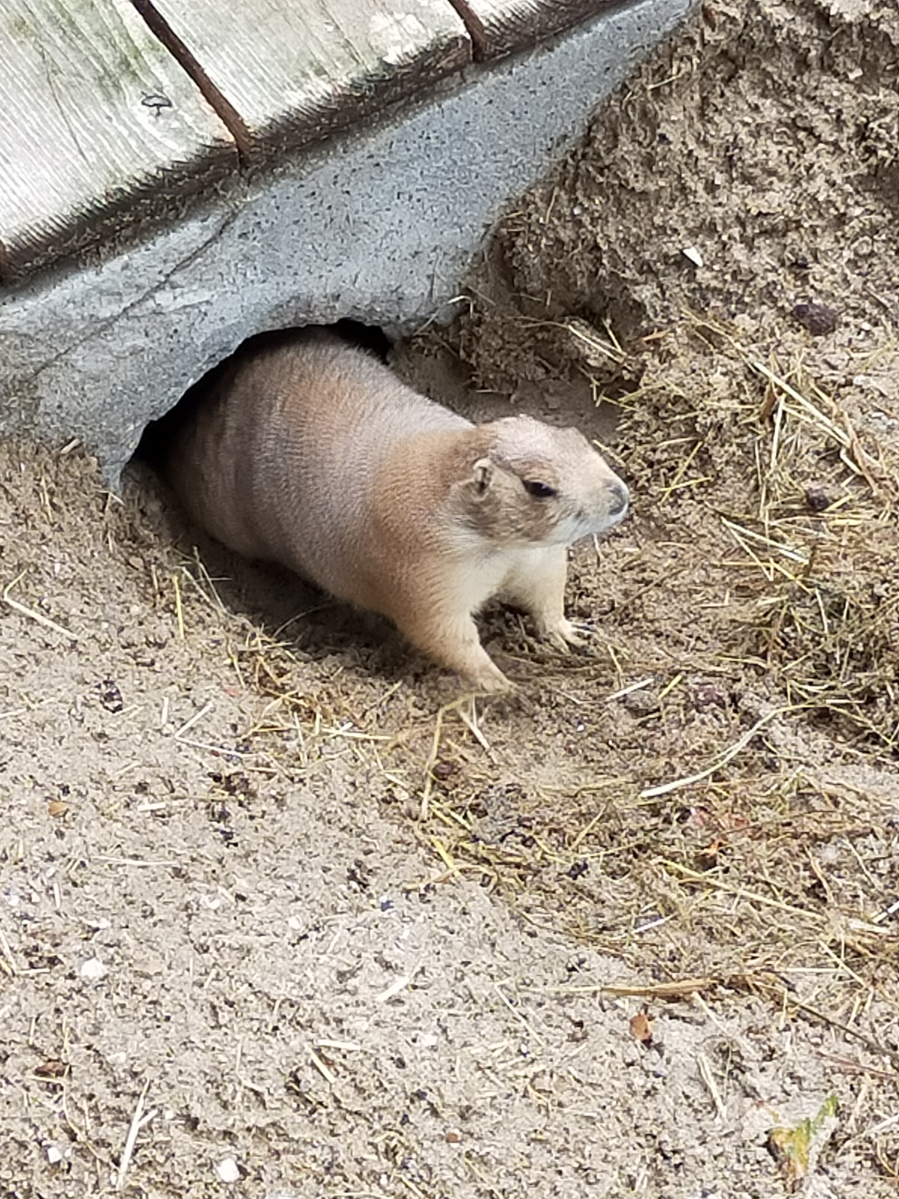 Photo n° 6 de l'avis de fab&sar. fait le 25/08/2023 à 20:09