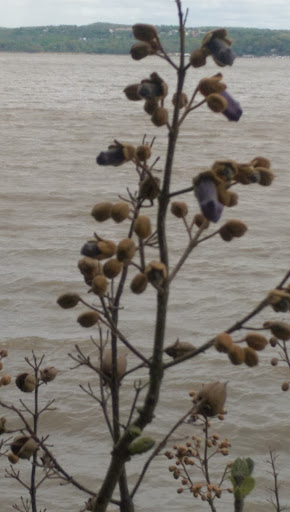 State Park «Hook Mountain State Park», reviews and photos, N Rte 9W, Nyack, NY 10960, USA