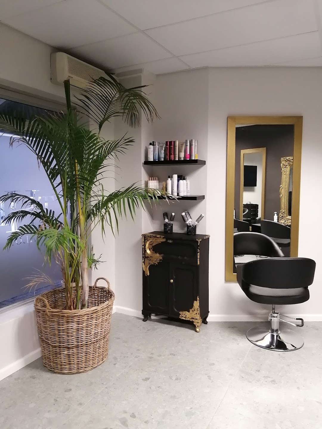 The Salon